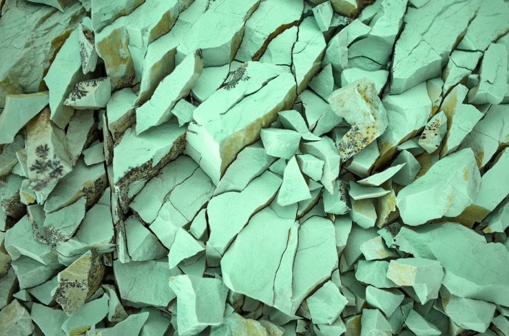 dreamstime_m_61420200