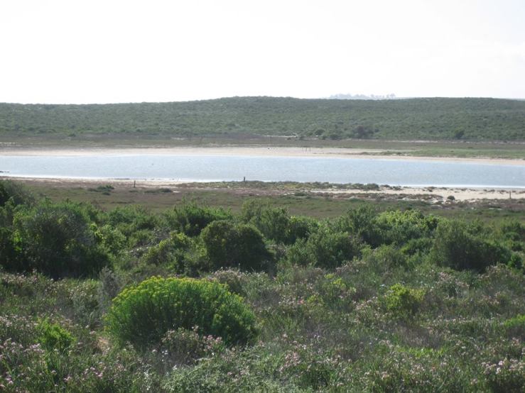 12733506_10153295542117791_7840411703594941860_n